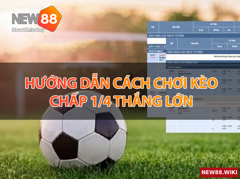 Hướng dẫn cách chơi kèo chấp 1/4 thắng lớn
