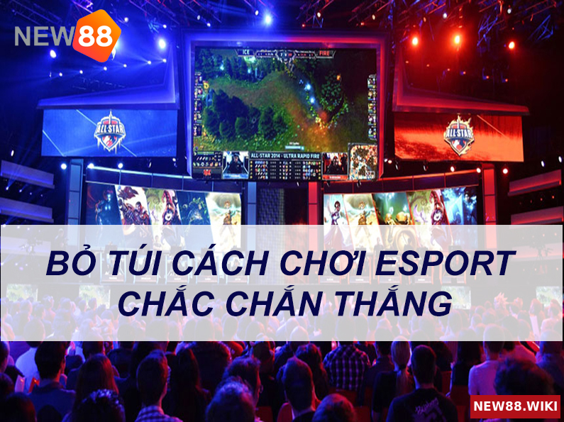 Bỏ túi mẹo cách chơi esport chắc chắn thắng