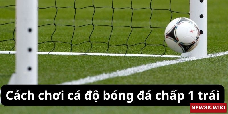 Hướng dẫn cách chơi cá độ bóng đá chấp 1 trái