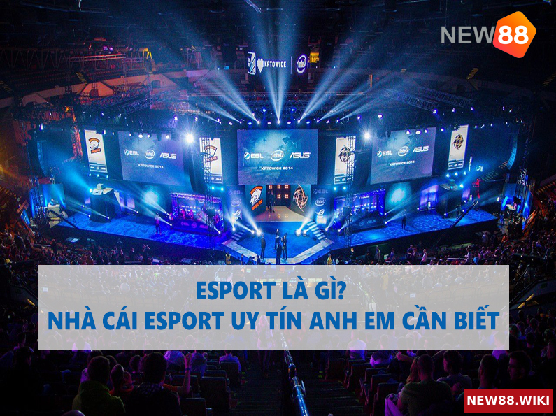 Esport là gì? Nhà cái esport uy tín anh em cần biết