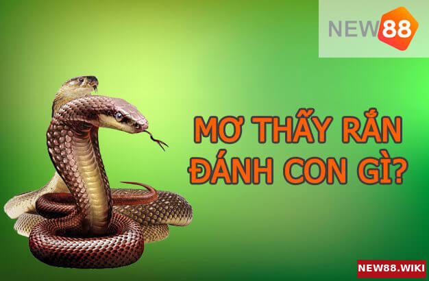 Mơ thấy rắn nên đánh con số nào