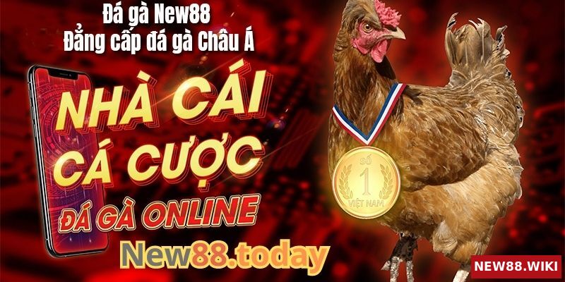 Tổng quan về nhà cái đá gà NEW88 uy tín