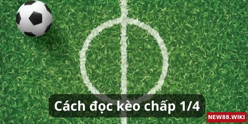 Hướng dẫn cách đọc kèo chấp 1/4 chi tiết