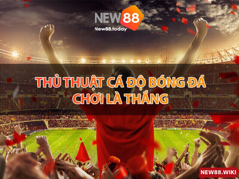 Thủ thuật cá độ bóng đá chơi là thắng
