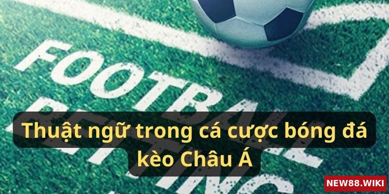 Thuật ngữ trong kèo bóng đá kèo Châu Á