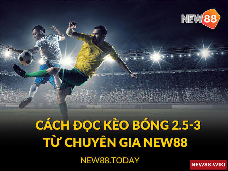 Cách đọc kèo bóng 2.5-3 từ chuyên gia NEW88