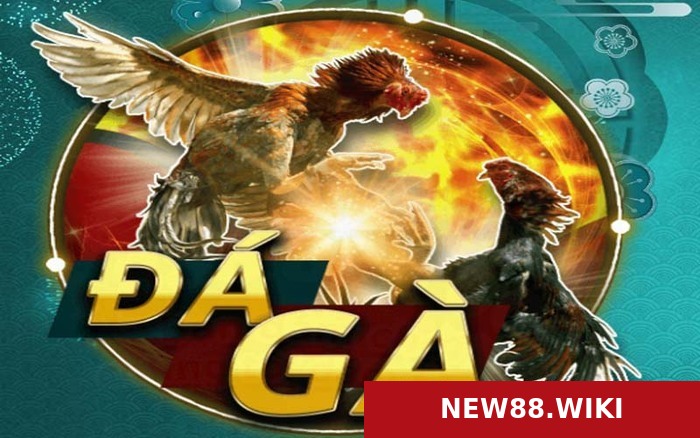 Những bí quyết chơi đá gà NEW88