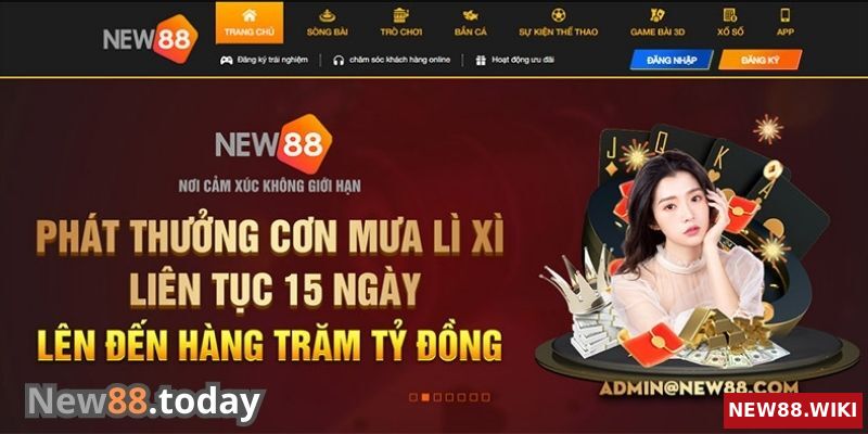 Những chính sách ưu đãi dành cho hội viên NEW88