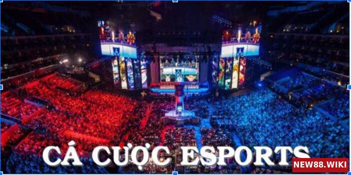 Cá cược Esport là danh mục được đông đảo người chơi ưa chuộng tại các sân chơi trực tuyến Cá cược Esport là danh mục được đông đảo người chơi ưa chuộng tại các sân chơi trực tuyến