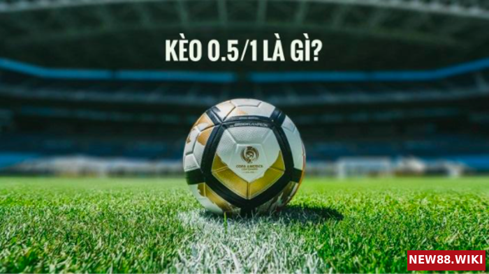 Những khái niệm nền tảng về kèo bóng 0 5/1