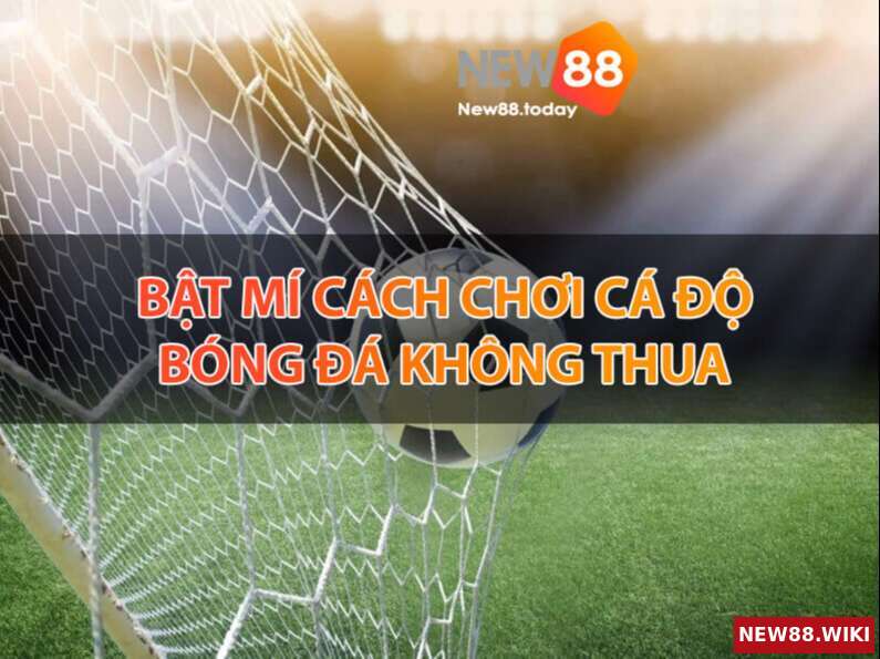 Bật mí cách chơi cá độ bóng đá không thua