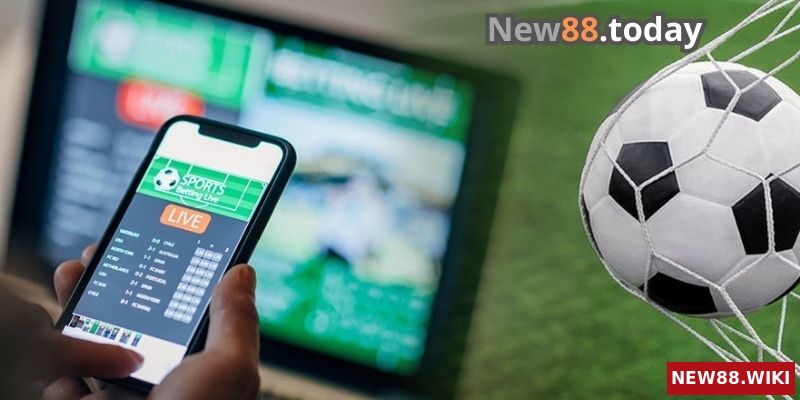 Tổng hợp cách chơi cá độ bóng đá không thua