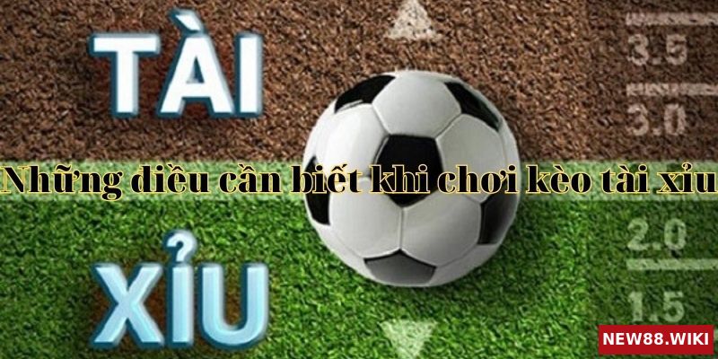 Lưu ý khi chơi kèo tài xỉu Những lưu ý khi chơi kèo tài xỉu