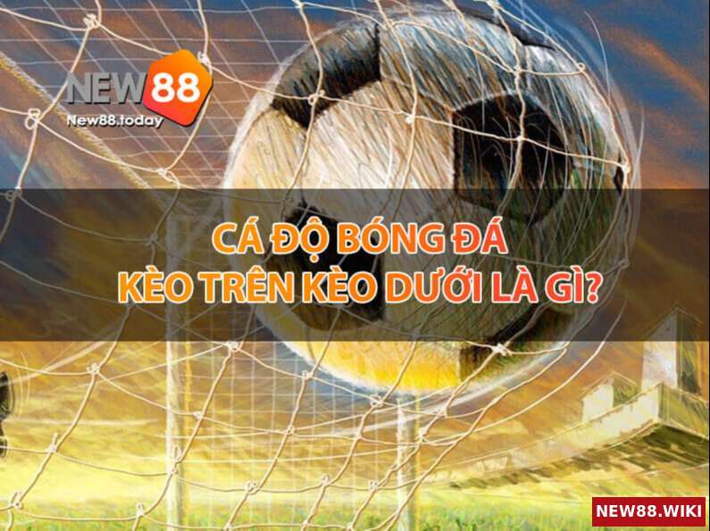Giải thích cá độ bóng đá kèo trên, kèo dưới