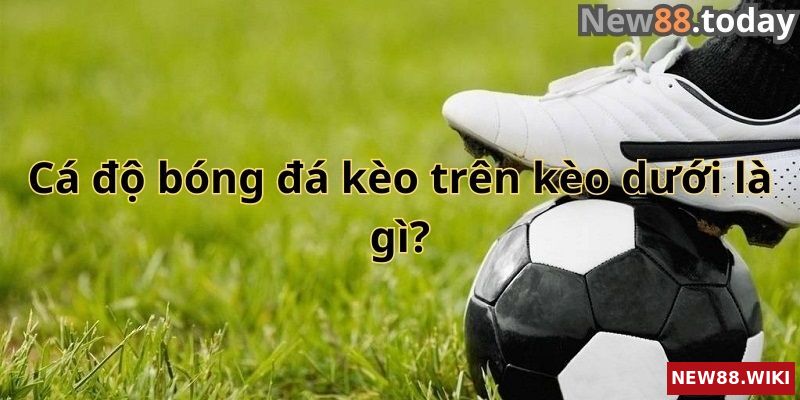 Cá độ bóng đá kèo trên kèo dưới là gì
