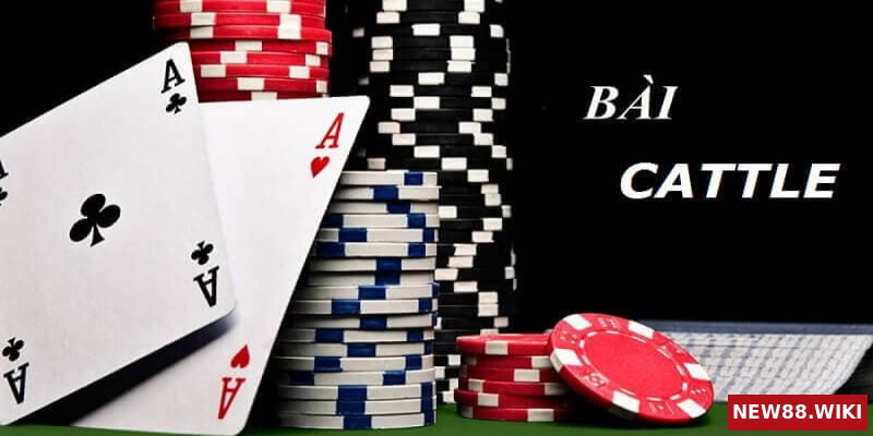 Hướng dẫn cách chơi bài catte