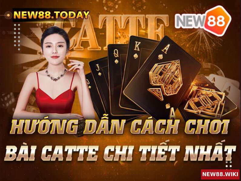 Hướng Dẫn Cách Chơi Bài Catte Chi Tiết Nhất
