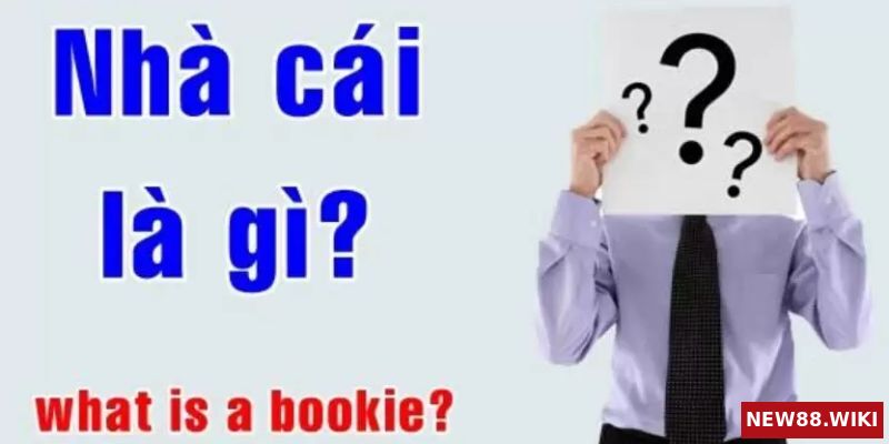 Nhà cái là gì
