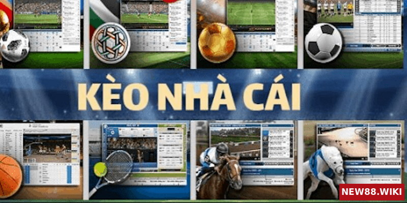 Tuỳ vào mỗi nhà cái mà họ đưa ra các tỷ lệ kèo thích hợp