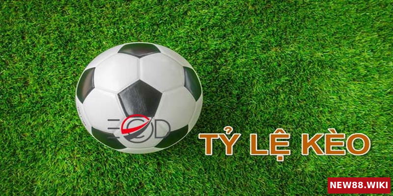 Học hỏi kinh nghiệm của dân chơi cá cược bóng đá chuyên nghiệp rất quan trọng