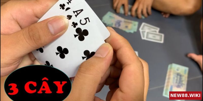 Các quy tắc quan trọng khi chơi 3 cây kiểu cầm chương