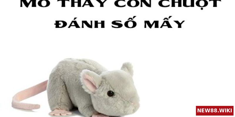 Điềm báo cụ thể của việc mơ thấy chuột