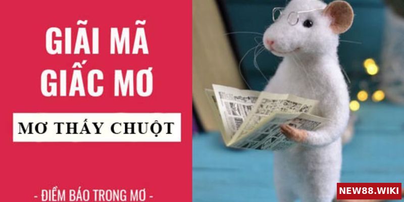 Mơ thấy chuột là điềm may hay điềm rủi