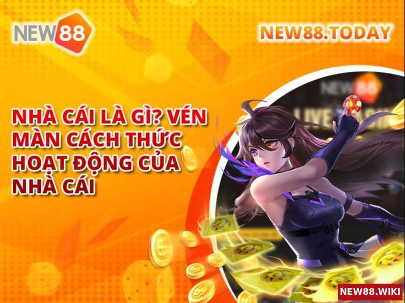 Nhà Cái Là Gì? Vén Màn Cách Thức Hoạt Động Của Nhà Cái
