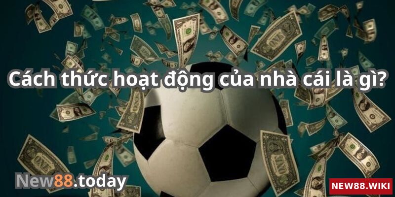 Cách thức hoạt động của nhà cái