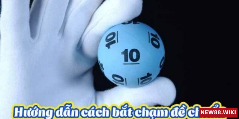 5 phương pháp bắt đề chạm miền Bắc cực chuẩn