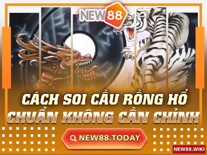 Cách Soi Cầu Rồng Hổ Chuẩn Không Cần Chỉnh Mà Bạn Nên Biết