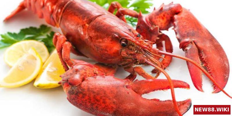 Mơ thấy tôm và cá lẫn lộn vào nhau