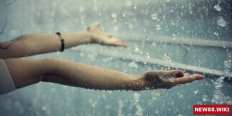 Điềm báo khi mơ thấy mưa bão