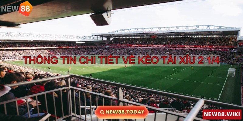 Khám phá kèo tài xỉu 2 1/4 cùng New88