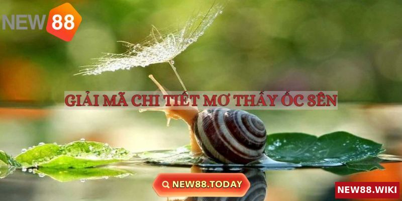 Giải mã chi tiết giấc mơ thấy ốc sên liên quan tài lộc