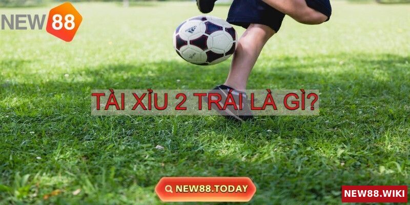 Tài Xỉu 2 trái là gì