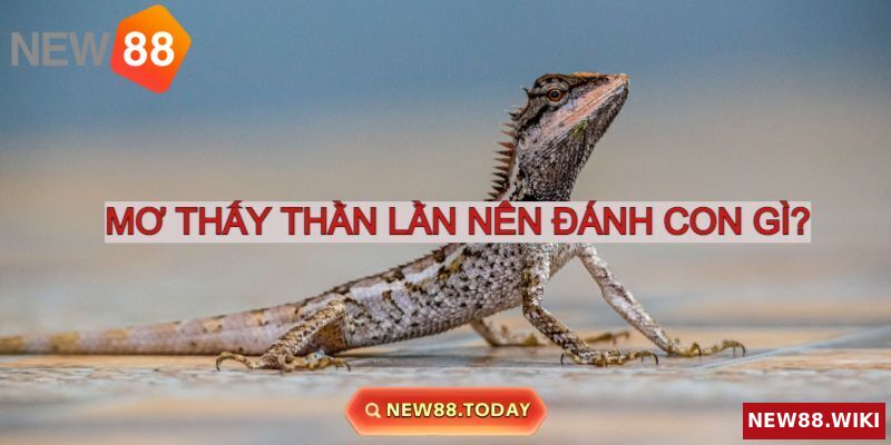 Nằm mơ thấy thằn lằn nên đánh con gì phát lộc?