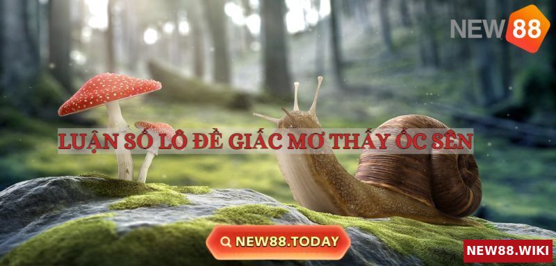 Luận số chi tiết khi mơ thấy ốc sên