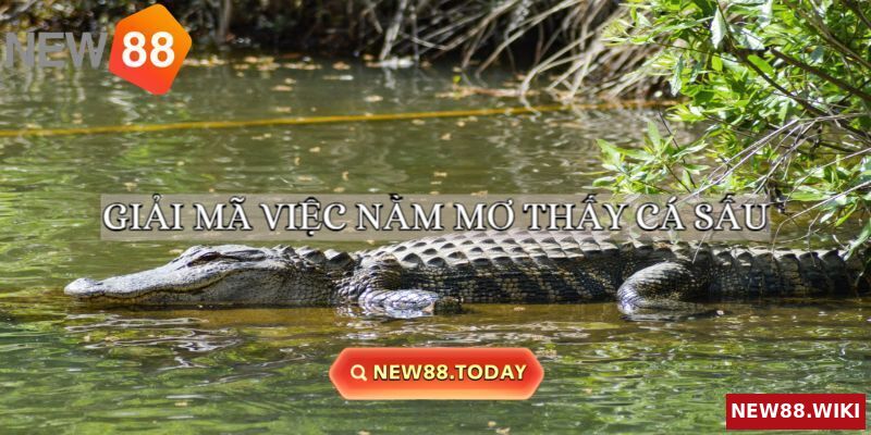 Giải mã chi tiết giấc mơ thấy cá sấu