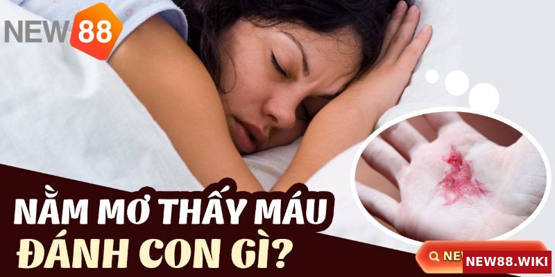 Luận số lô đề khi nằm mơ thấy máu