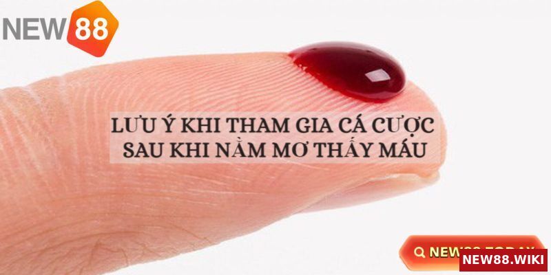 Lưu ý khi cá cược nằm mơ thấy máu
