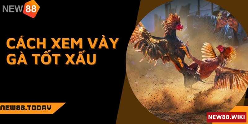Kinh nghiệm tránh những vảy gà xấu