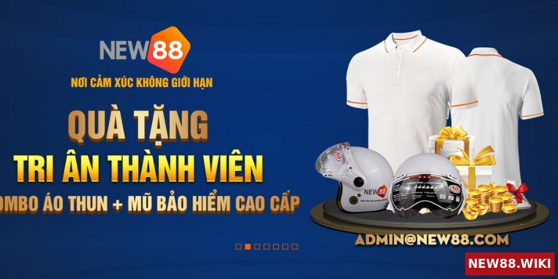 Thông tin về NEW88 