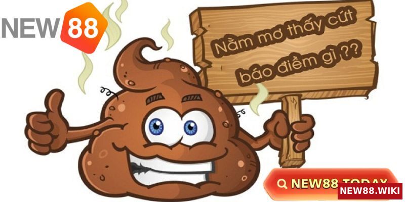 Giải mã điềm báo tâm linh khi nằm mơ thấy cứt