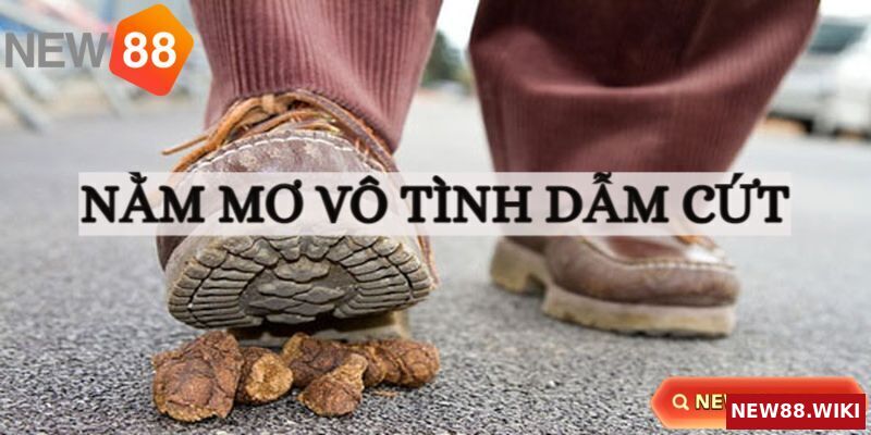 Mơ thấy mình vô tình giẫm trúng phân của người khác