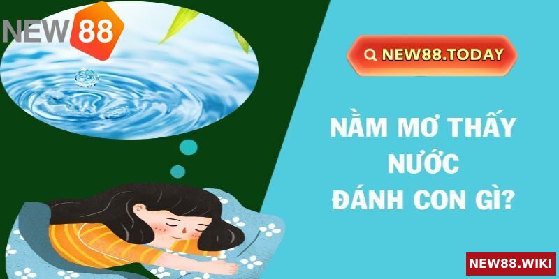 Nằm mơ thấy nước và những điềm báo cá cược hấp dẫn