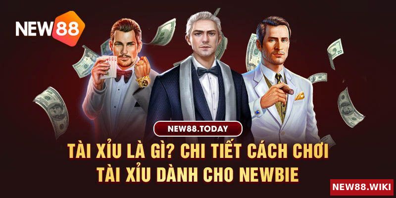 Tài xỉu là gì? Chi tiết cách chơi tài xỉu dành cho Newbie