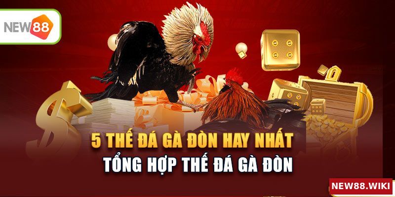 5 thế đá gà đòn hay nhất tại đấu trường đá gà