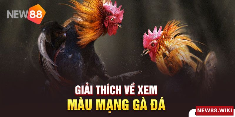 Giải thích về xem màu mạng gà đá