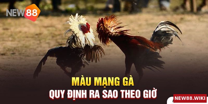 Màu mạng gà quy định ra sao theo giờ
